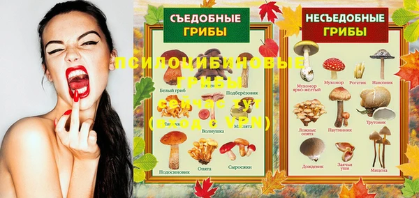 мяу мяу мука Нефтегорск