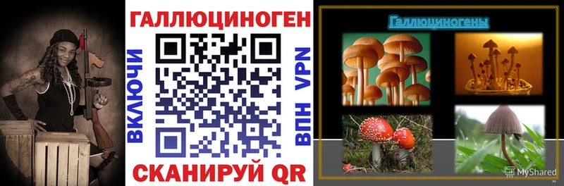 ссылка на мегу ссылка  купить закладку  Рузаевка  площадка Telegram  Псилоцибиновые грибы GOLDEN TEACHER 