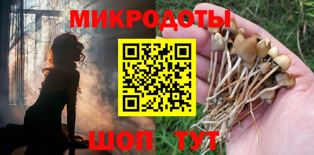 Галлюциногенные грибы Magic Shrooms  Вход с VPN  Рузаевка  Галлюциногенные грибы Psilocybine cubensis 